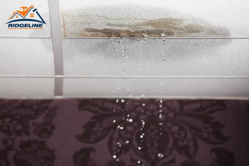 How to Fix a Leaking Roof