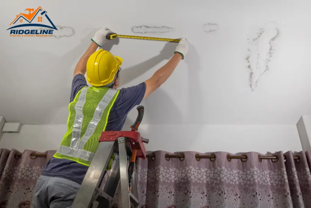 roof leak repair expert - Ridgeline Roofing and General Building