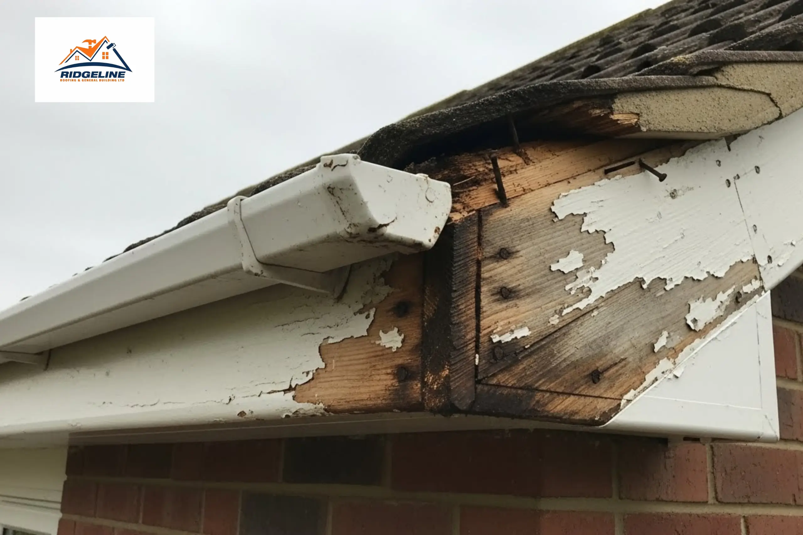 Inspect and Prepare the Roofline for replacing fascia and soffit